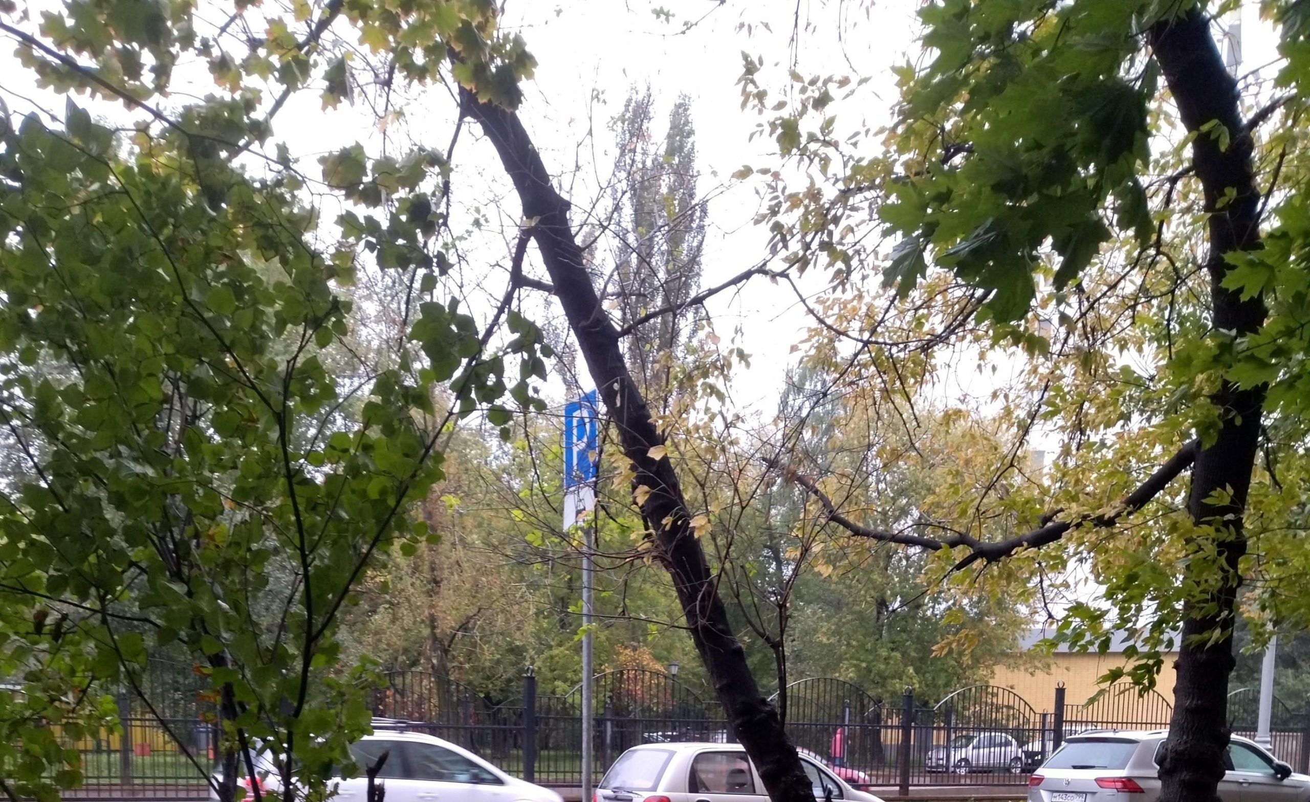 На Новоалексеевской восстановили покосившийся дорожный знак