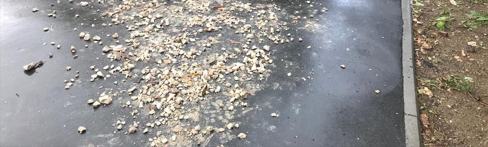 В сквере на Ракетном бульваре провели уборку по просьбе жителей