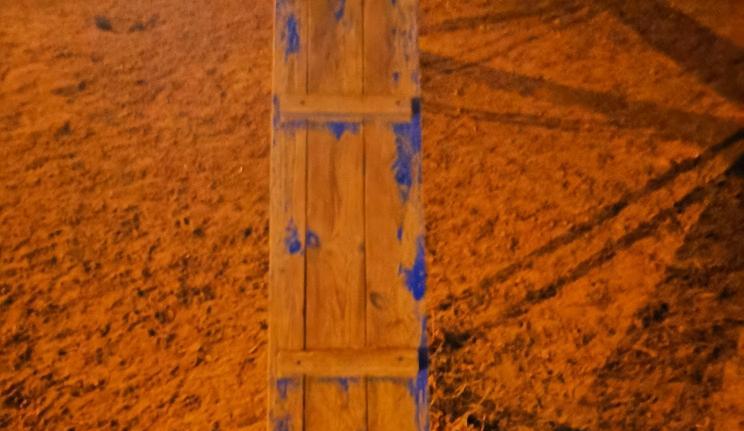 Площадку для выгула собак во дворе на Новоалексеевской привели в порядок