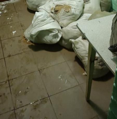 Подъезд дома на Новоалексеевской очистили от мешков с мусором